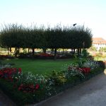 Burggarten - früh morgens ohne Touristen